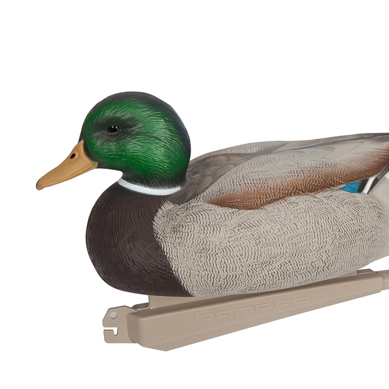 Decoy Duck Plastic - Gerçekçi Plastik Ördek Maketi, Ağırlıklı Gövdeli