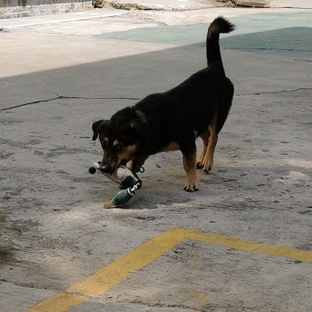 Decoy Duck Plastic - Simülasyon Yeşilbaş Ördek Maketi Köpek Eğitimi