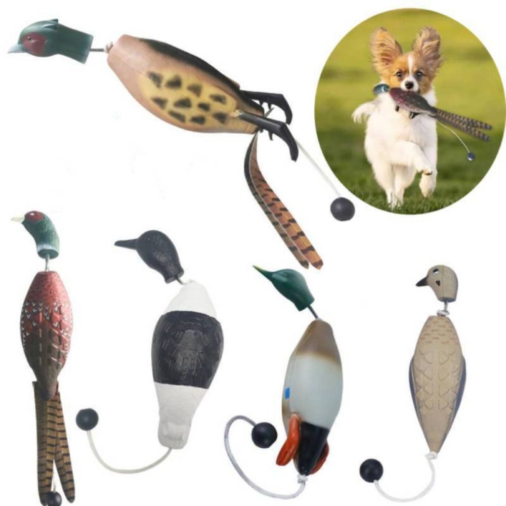 Decoy Duck Plastic - Bite dayanıklı köpek eğitim oyuncaklar eğitim