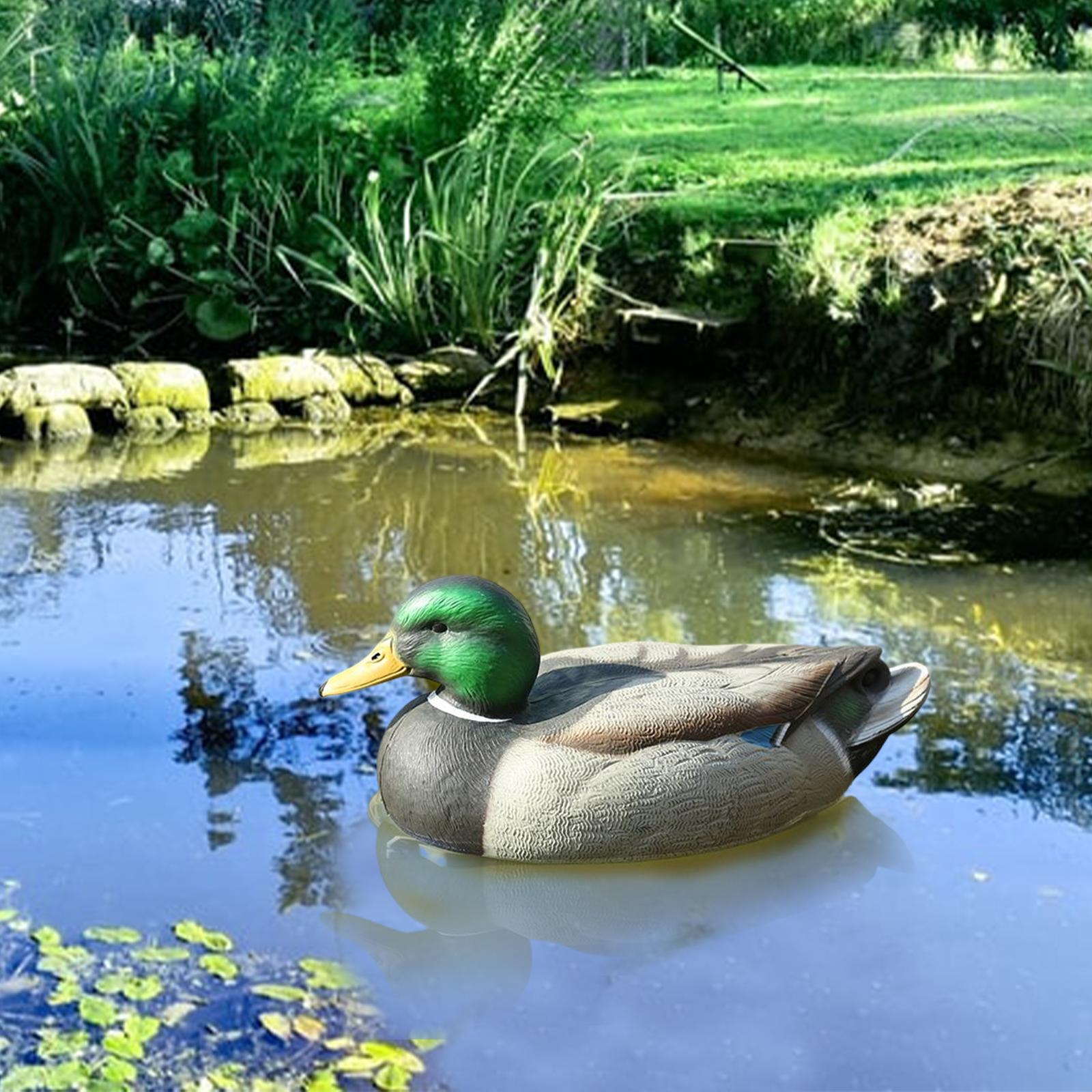 Gerçekçi Plastik Ördek Maketi, - Decoy Duck Plastic incelemesi ve fiyatı
