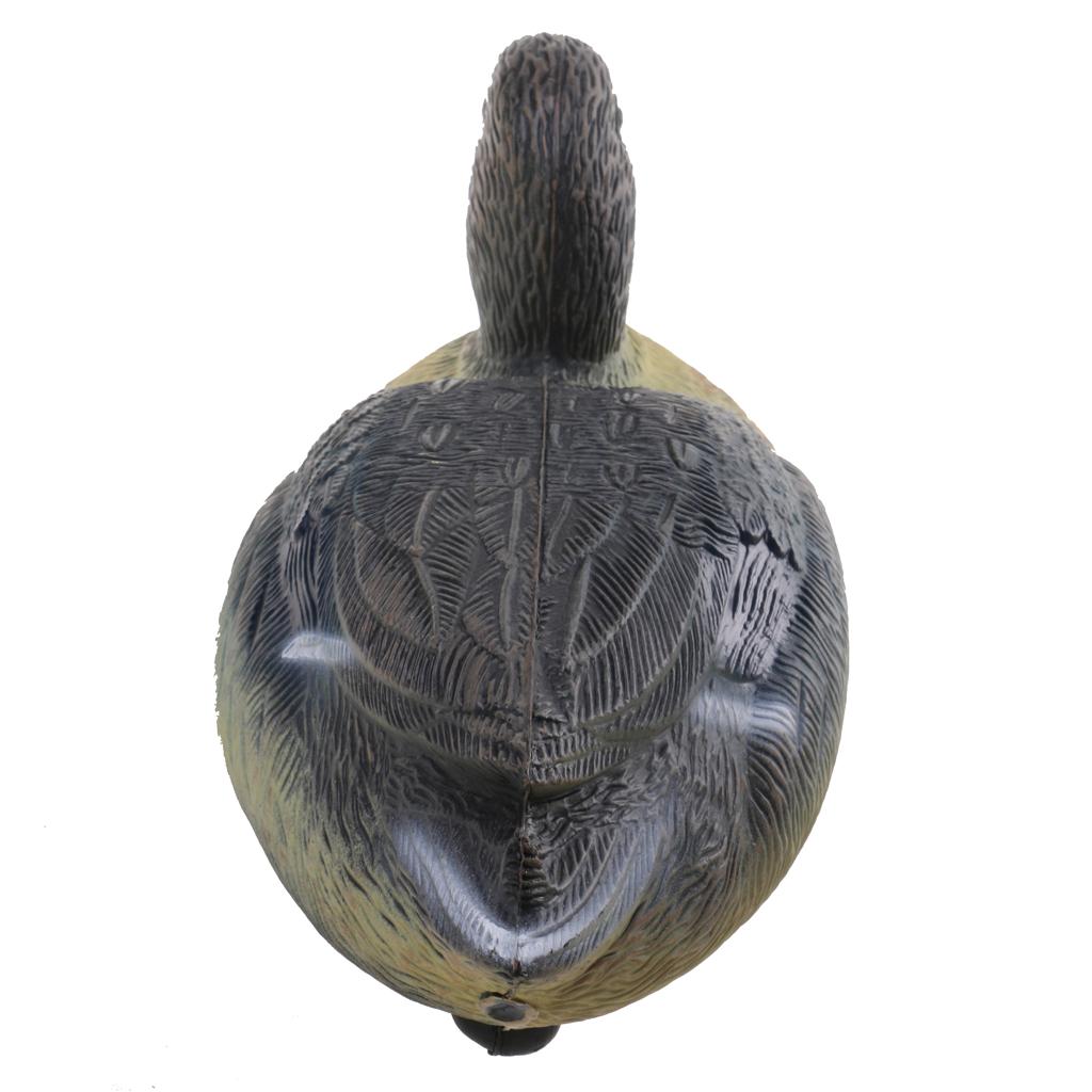Dayanıklı Plastik Ördek Maketi - Decoy Duck Plastic incelemesi ve fiyatı