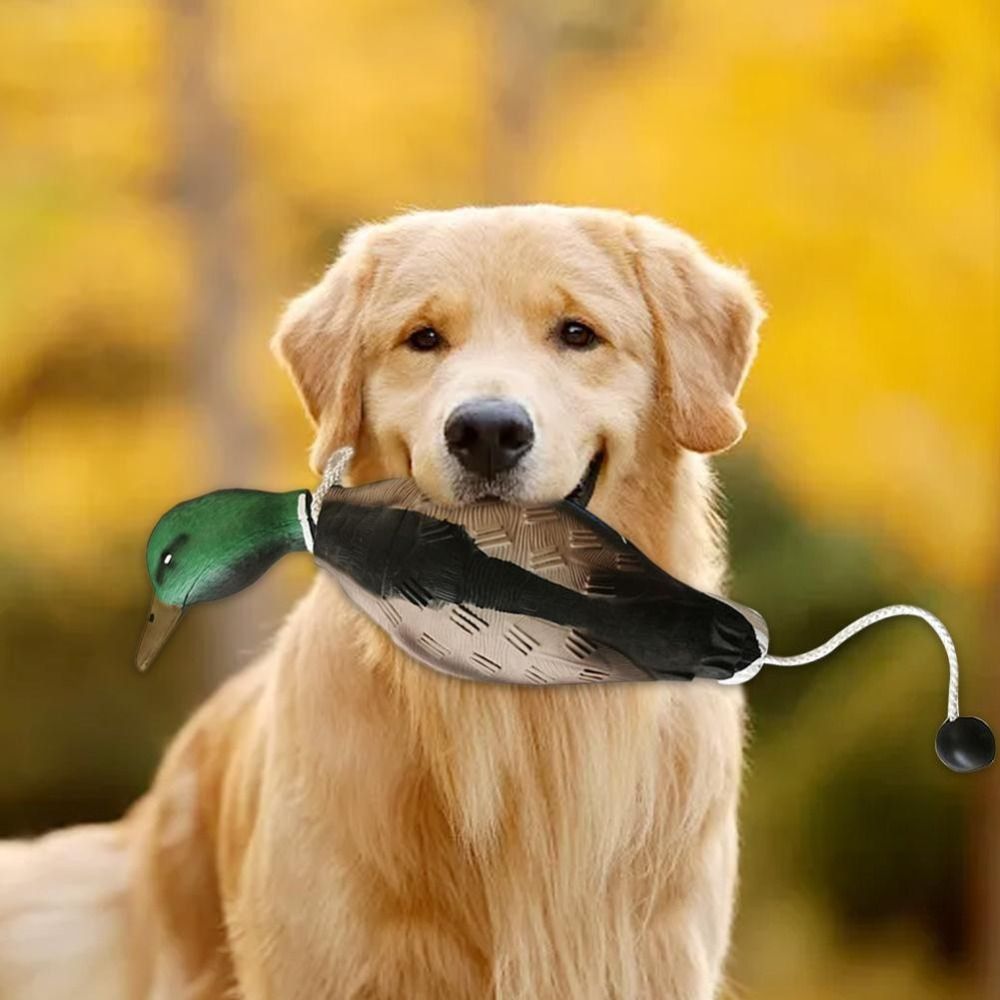 Yeşilbaş Ördek Tuzak Köpek Eği - Decoy Duck Plastic incelemesi ve fiyatı