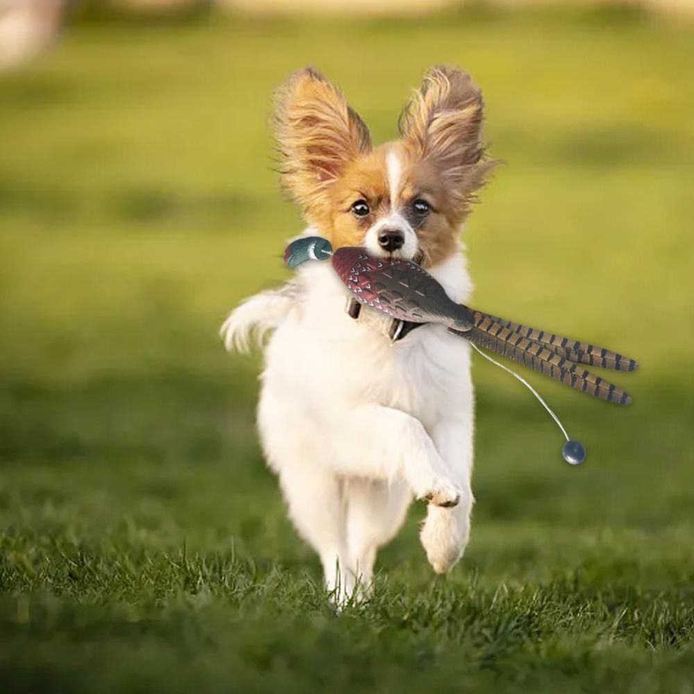 Yeşilbaş Ördek Tuzak Köpek Eği - Decoy Duck Plastic incelemesi ve fiyatı