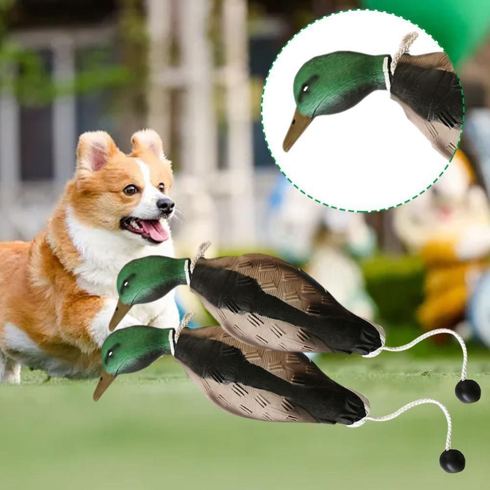 Yeşilbaş Ördek Tuzak Köpek Eği - Decoy Duck Plastic incelemesi ve fiyatı