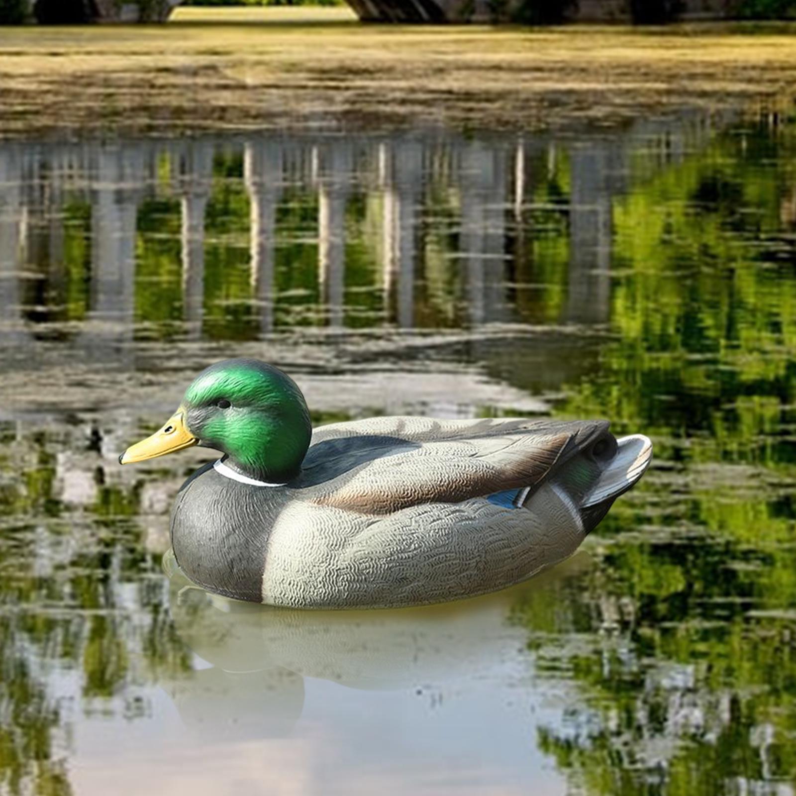 Anatomik Olarak Mükemmel Plast - Decoy Duck Plastic incelemesi ve fiyatı