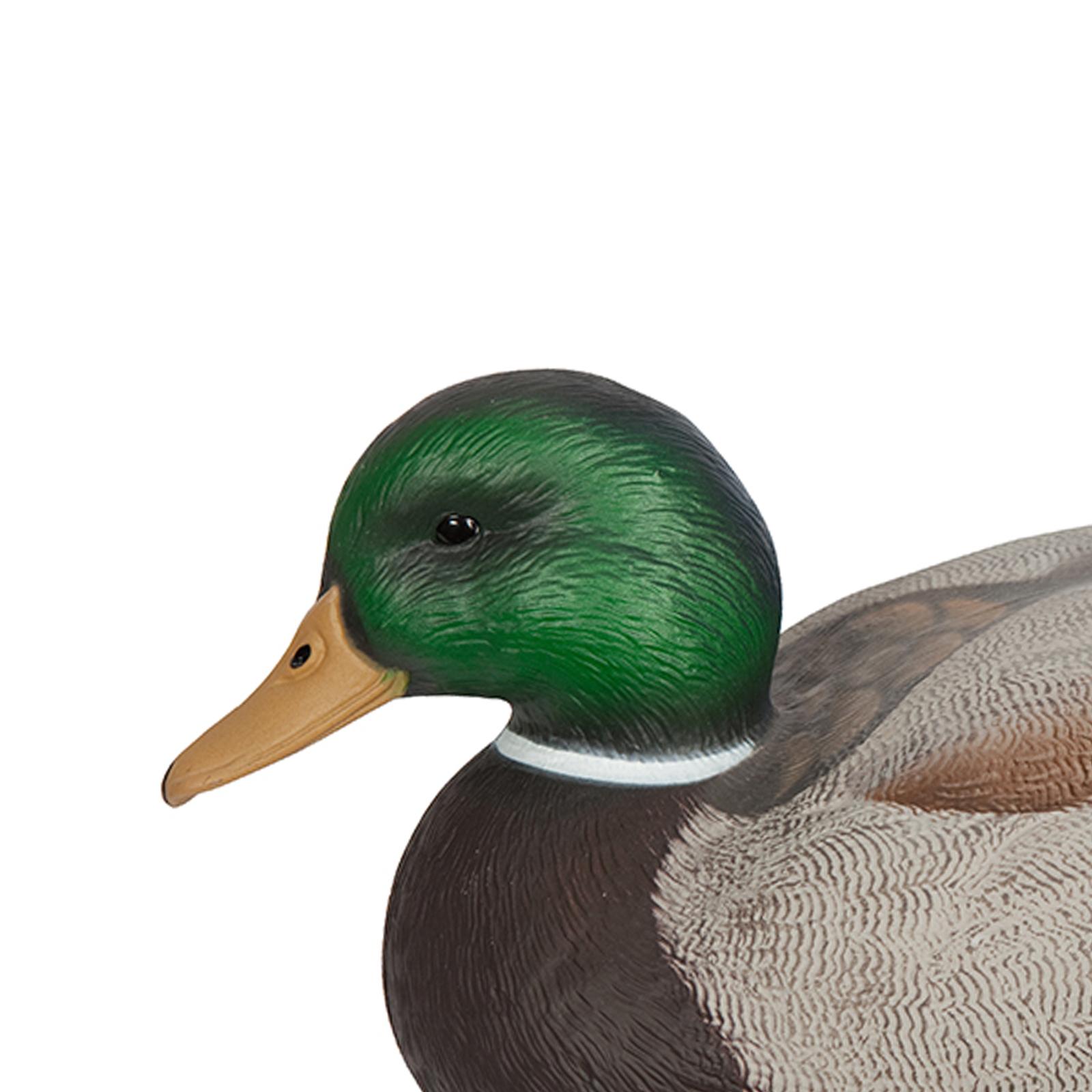 Anatomik Olarak Mükemmel Plast - Decoy Duck Plastic incelemesi ve fiyatı