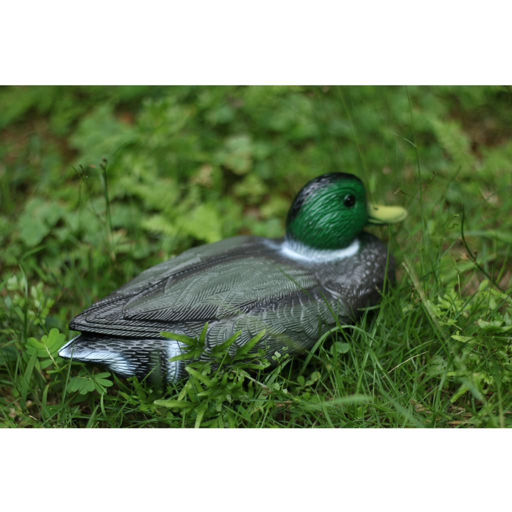 Gerçekçi Plastik Ördek Maket B - Decoy Duck Plastic incelemesi ve fiyatı