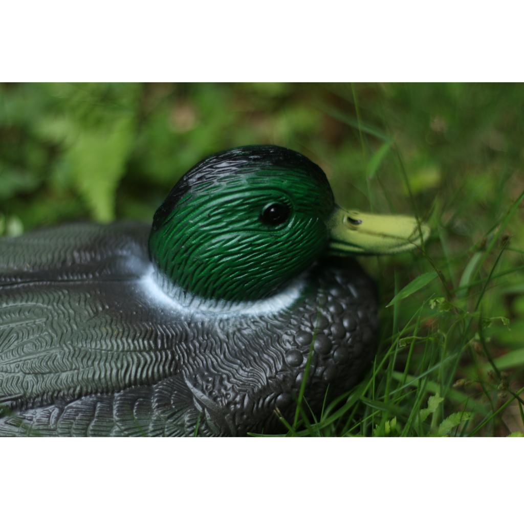 Gerçekçi Plastik Ördek Maket B - Decoy Duck Plastic incelemesi ve fiyatı