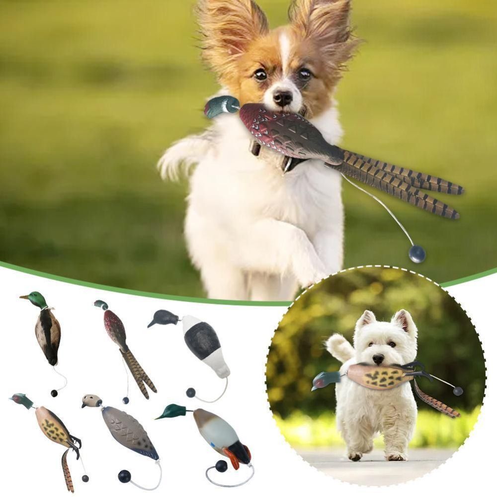 Bite dayanıklı köpek eğitim oy - Decoy Duck Plastic incelemesi ve fiyatı
